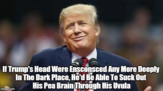 Donald Trump's Uvula | If Trump's Head Were Ensconsced Any More Deeply 
In The Dark Place, He'd Be Able To Suck Out 
His Pea Brain Through His Uvula | image tagged in trump,ahole,pea brain,uvula,the dark place,up his ass | made w/ Imgflip meme maker