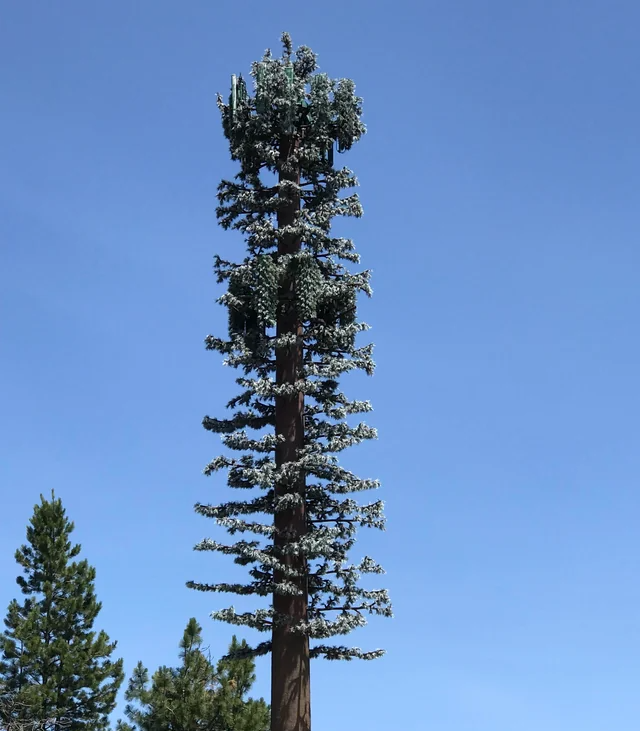 cellphone tower disguised as branchless tree Blank Meme Template