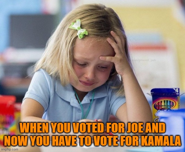 It's what sheep do | WHEN YOU VOTED FOR JOE AND NOW YOU HAVE TO VOTE FOR KAMALA | image tagged in crying girl drawing | made w/ Imgflip meme maker