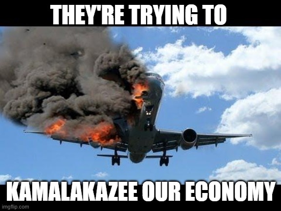 Kamalakazee the economy | THEY'RE TRYING TO; KAMALAKAZEE OUR ECONOMY | image tagged in plane crash | made w/ Imgflip meme maker