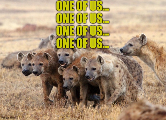 Hungry Hyenas | ONE OF US...
ONE OF US...
ONE OF US...
ONE OF US... | image tagged in hungry hyenas | made w/ Imgflip meme maker