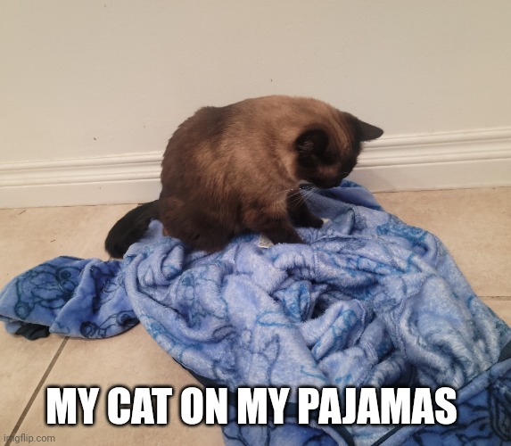 My cat on my pajamas. I bless your eyes | MY CAT ON MY PAJAMAS | image tagged in cats,cute cat,cute | made w/ Imgflip meme maker