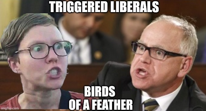 Lunatic Leftist Marxist | TRIGGERED LIBERALS; BIRDS
 OF A FEATHER | image tagged in liberals,democrats,leftists,2024 | made w/ Imgflip meme maker