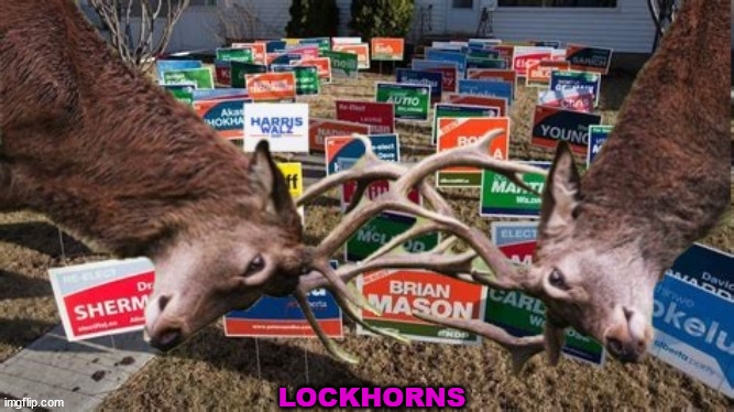 Lockhorns | LOCKHORNS | image tagged in locked horns,politics,yard signs,harris walz 2024,maga mess,pass the buck | made w/ Imgflip meme maker