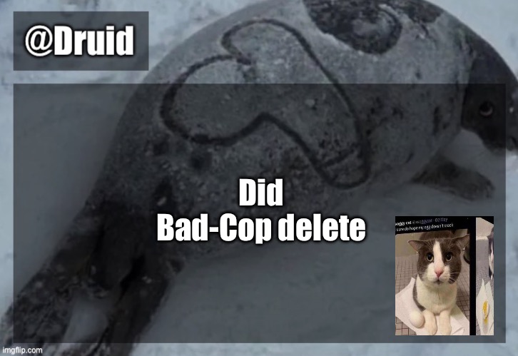 Old announcement temp | Did Bad-Cop delete | image tagged in y | made w/ Imgflip meme maker