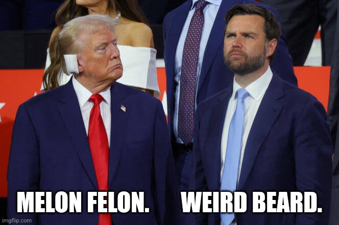 The Melon Felon and Weird Beard. | MELON FELON.       WEIRD BEARD. | image tagged in trump,vance,weird | made w/ Imgflip meme maker