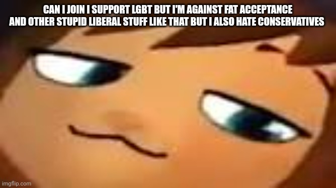 Mod Note: Yeah, this stream is for both sides of the political spectrum that don’t follow the mainstream left or right | CAN I JOIN I SUPPORT LGBT BUT I'M AGAINST FAT ACCEPTANCE AND OTHER STUPID LIBERAL STUFF LIKE THAT BUT I ALSO HATE CONSERVATIVES | image tagged in smug hat kid mp4 | made w/ Imgflip meme maker