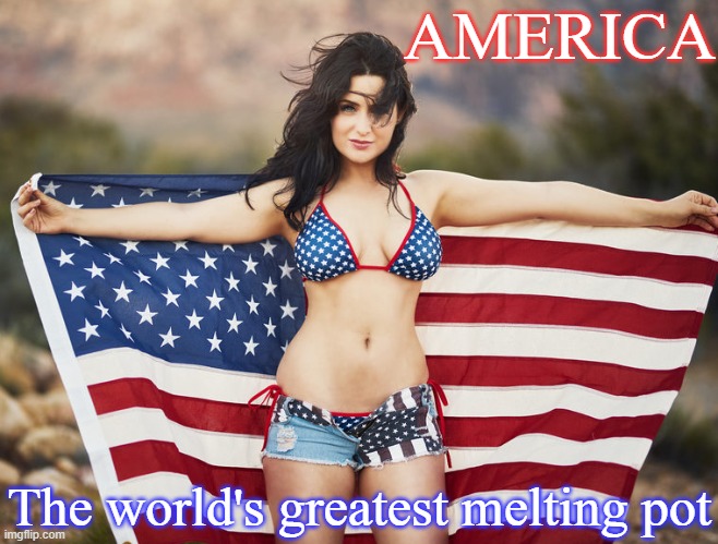 America - the world's greatest melting pot | AMERICA; The world's greatest melting pot | image tagged in american woman | made w/ Imgflip meme maker