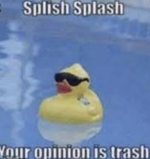 Your opinion is trash | image tagged in your opinion is trash | made w/ Imgflip meme maker