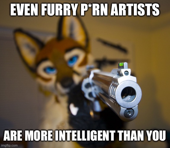 Furry with gun | EVEN FURRY P*RN ARTISTS ARE MORE INTELLIGENT THAN YOU | image tagged in furry with gun | made w/ Imgflip meme maker