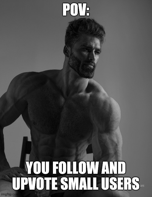 Giga Chad | POV:; YOU FOLLOW AND UPVOTE SMALL USERS | image tagged in giga chad | made w/ Imgflip meme maker