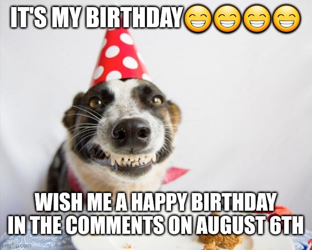 birthday dog | IT'S MY BIRTHDAY😁😁😁😁; WISH ME A HAPPY BIRTHDAY IN THE COMMENTS ON AUGUST 6TH | image tagged in birthday dog | made w/ Imgflip meme maker