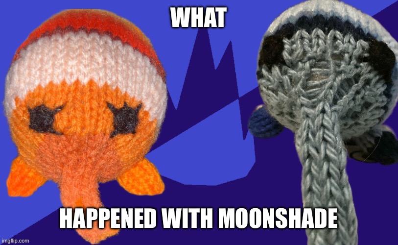 Bob and Rob after their parents divorced | WHAT; HAPPENED WITH MOONSHADE | image tagged in bob and rob after their parents divorced | made w/ Imgflip meme maker