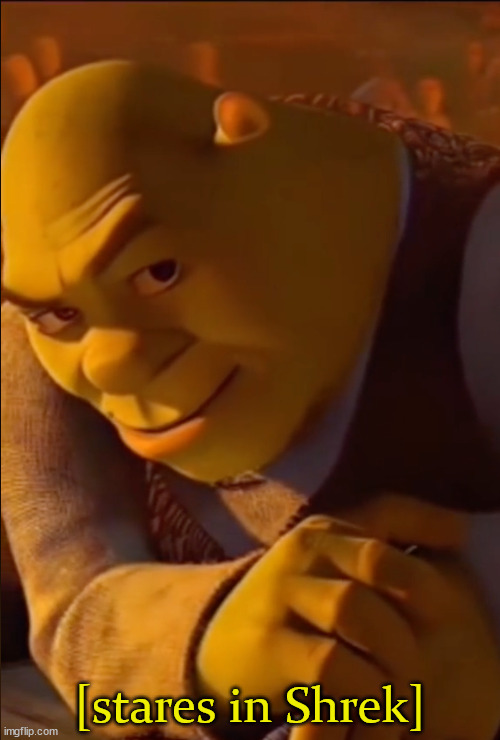 He's judging you | [stares in Shrek] | image tagged in shrek looking up | made w/ Imgflip meme maker