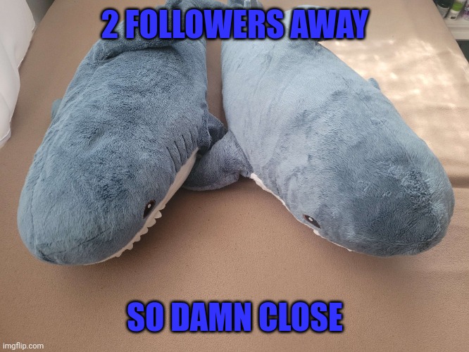 Hard to get followers nowadays cause of mass inactivity | 2 FOLLOWERS AWAY; SO DAMN CLOSE | image tagged in my brother's and my blahaj | made w/ Imgflip meme maker