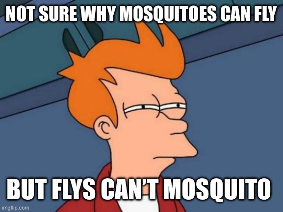 What is the meaning of life if a fly cant mosquito? | NOT SURE WHY MOSQUITOES CAN FLY; BUT FLYS CAN’T MOSQUITO | image tagged in memes,futurama fry | made w/ Imgflip meme maker