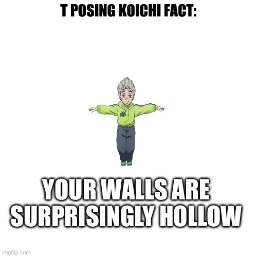 t posing koichi | YOUR WALLS ARE SURPRISINGLY HOLLOW | image tagged in t posing koichi | made w/ Imgflip meme maker