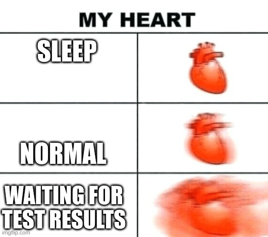 Heart rate | SLEEP; NORMAL; WAITING FOR TEST RESULTS | image tagged in heart rate | made w/ Imgflip meme maker