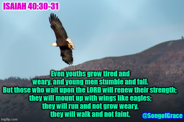 Isaiah 40:30-31 | ISAIAH 40:30-31; Even youths grow tired and weary, and young men stumble and fall.
But those who wait upon the LORD will renew their strength; 
they will mount up with wings like eagles;
they will run and not grow weary,
they will walk and not faint. @SongofGrace | image tagged in biblical encouragement | made w/ Imgflip meme maker