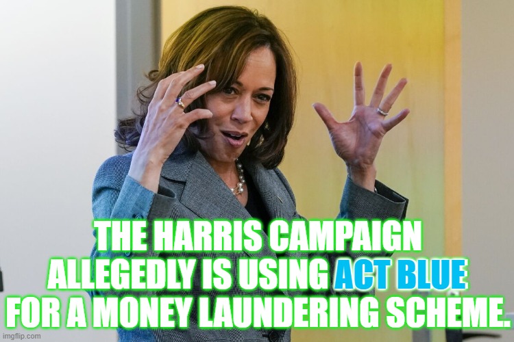 What Do You Know...Money Laundering... | THE HARRIS CAMPAIGN ALLEGEDLY IS USING ACT BLUE FOR A MONEY LAUNDERING SCHEME. ACT BLUE | image tagged in memes,politics,kamala harris,campaign,washing,money | made w/ Imgflip meme maker