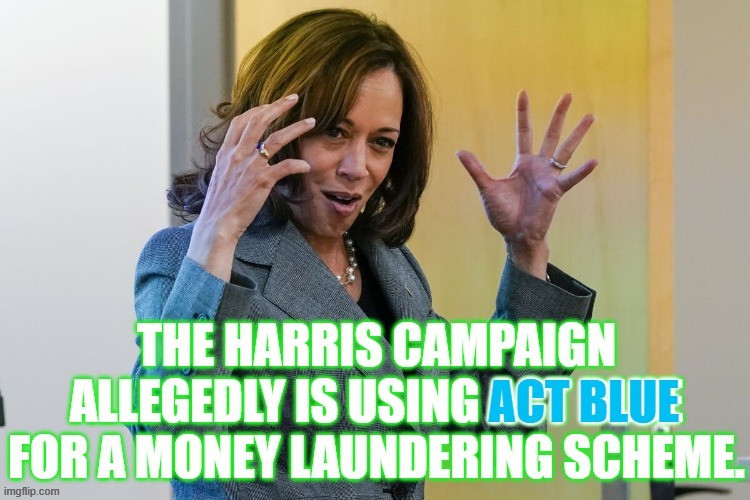 Money Laundering...What Do You Know... | image tagged in memes,kamala harris,campaign,using,act blue,money laundering | made w/ Imgflip meme maker