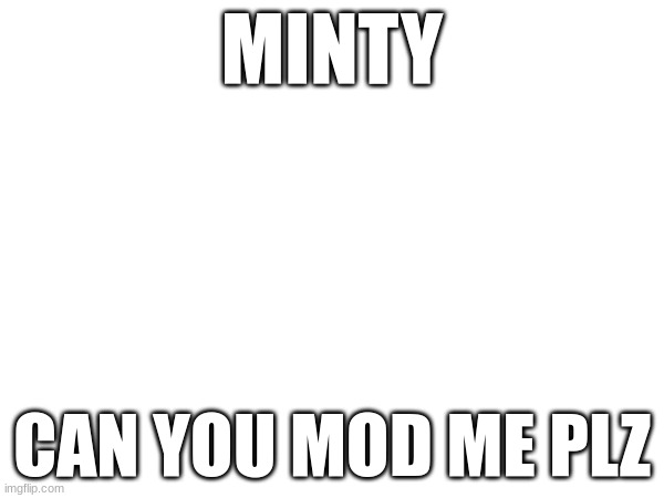 mod me plz | MINTY; CAN YOU MOD ME PLZ | made w/ Imgflip meme maker