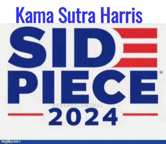 She's Try Radical | image tagged in kama sutra harris side piece,political meme,politics,funny memes,funny | made w/ Imgflip meme maker