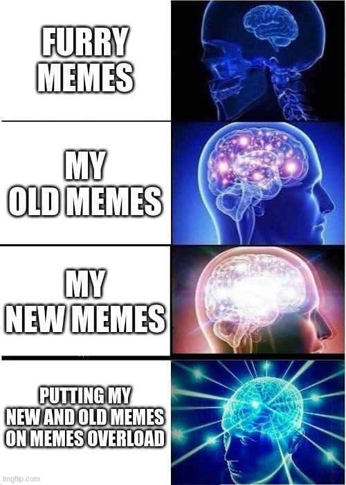 mod me plz | FURRY MEMES; MY OLD MEMES; MY NEW MEMES; PUTTING MY NEW AND OLD MEMES ON MEMES OVERLOAD | image tagged in memes,expanding brain | made w/ Imgflip meme maker