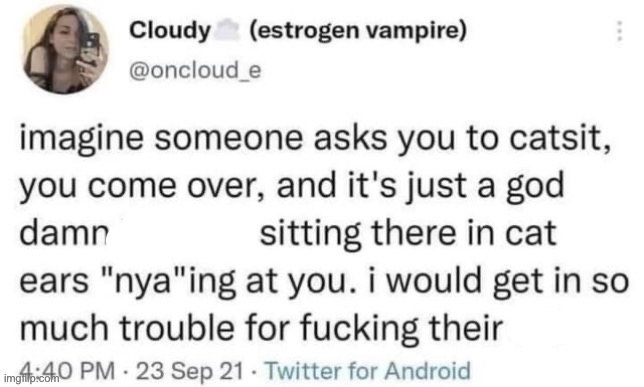 Catsitting Blank Meme Template