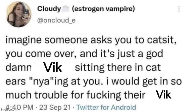 Yes template | Vik; Vik | image tagged in catsitting | made w/ Imgflip meme maker