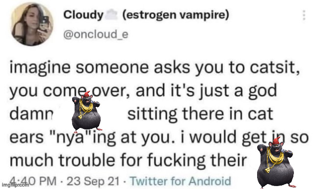 Catsitting | image tagged in catsitting | made w/ Imgflip meme maker