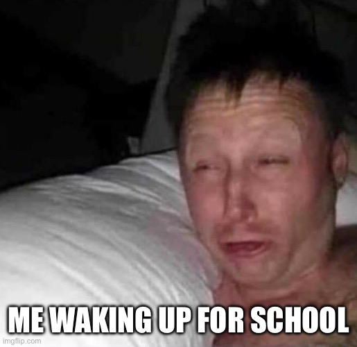 Real ??????? | ME WAKING UP FOR SCHOOL | image tagged in sleepy guy | made w/ Imgflip meme maker