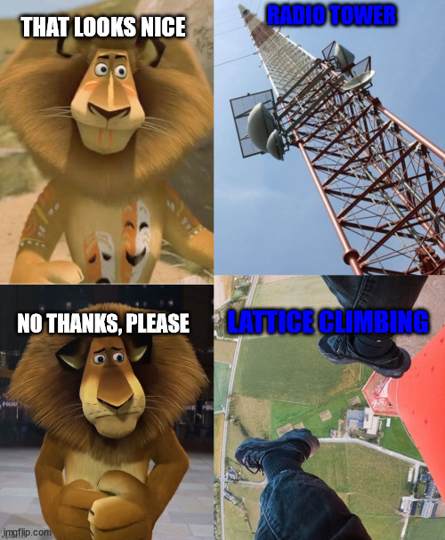 Alex the Lion | RADIO TOWER; THAT LOOKS NICE; LATTICE CLIMBING; NO THANKS, PLEASE | image tagged in alex,lion,lattice climbing,madagascar,fanart,climbing | made w/ Imgflip meme maker