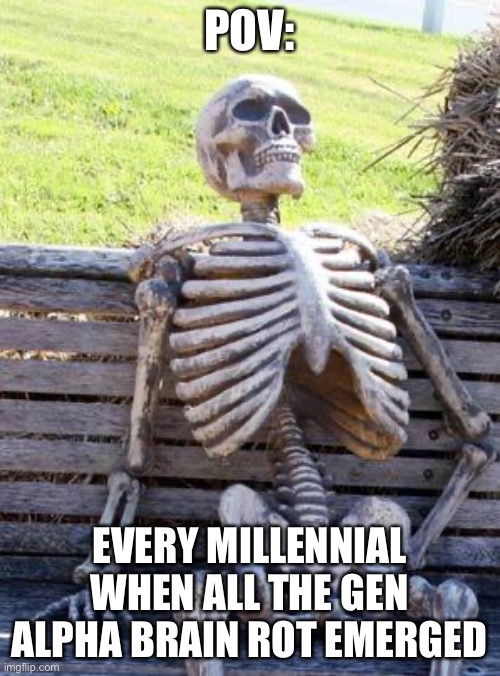 Every millennial | POV:; EVERY MILLENNIAL WHEN ALL THE GEN ALPHA BRAIN ROT EMERGED | image tagged in memes,brain rot | made w/ Imgflip meme maker