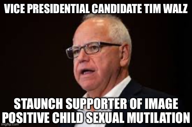 VICE PRESIDENTIAL CANDIDATE TIM WALZ; STAUNCH SUPPORTER OF IMAGE POSITIVE CHILD SEXUAL MUTILATION | image tagged in tim walz,kamala harris,donald trump,liberal logic,liberal hypocrisy | made w/ Imgflip meme maker