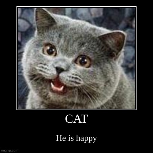 CAT | He is happy | image tagged in funny,demotivationals | made w/ Imgflip demotivational maker