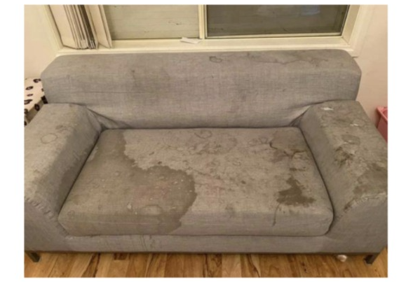 JD Couch Blank Meme Template