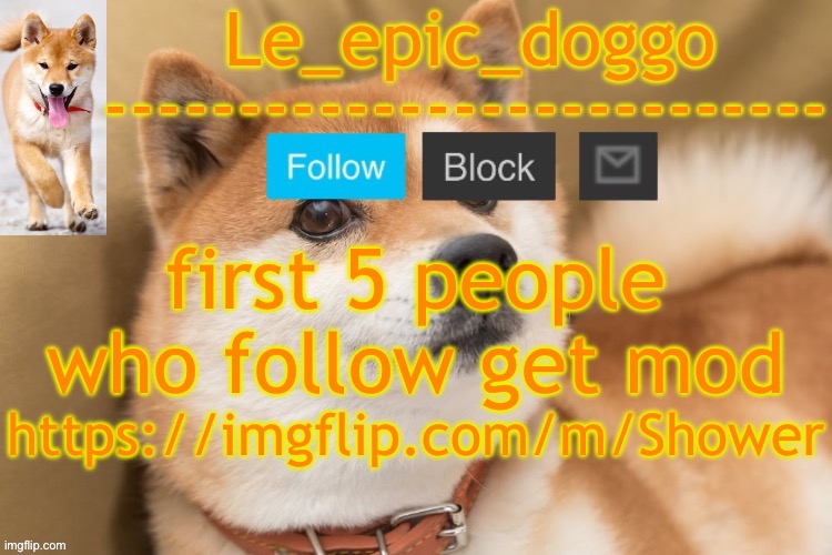 epic doggo's temp back in old fashion | first 5 people who follow get mod; https://imgflip.com/m/Shower | image tagged in epic doggo's temp back in old fashion | made w/ Imgflip meme maker