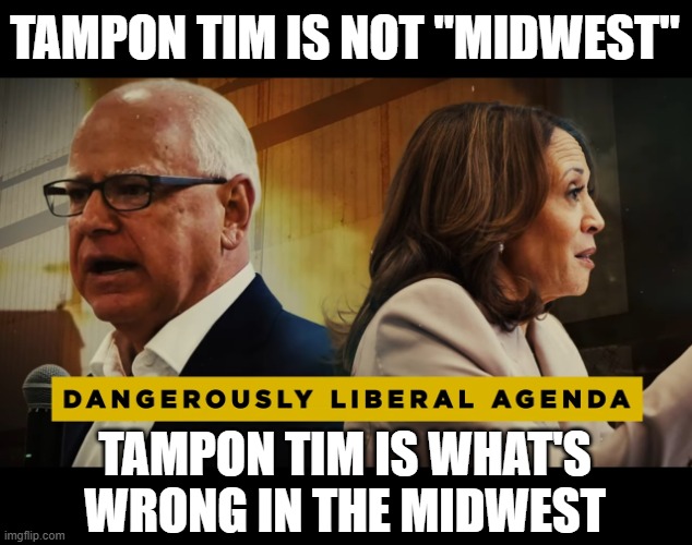 "Midwest" | TAMPON TIM IS NOT "MIDWEST"; TAMPON TIM IS WHAT'S WRONG IN THE MIDWEST | made w/ Imgflip meme maker