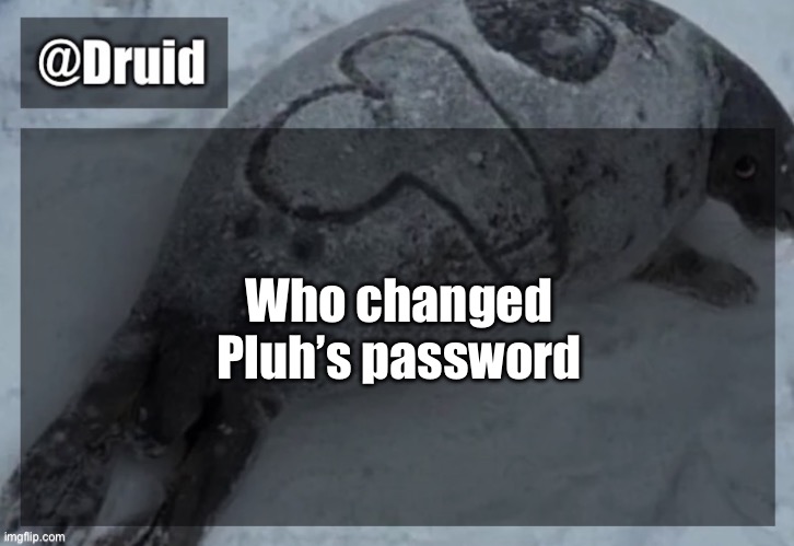 Old announcement temp | Who changed Pluh’s password | image tagged in y | made w/ Imgflip meme maker