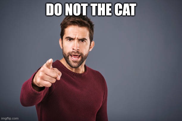 Do not the cat | DO NOT THE CAT | image tagged in please do not the cat | made w/ Imgflip meme maker