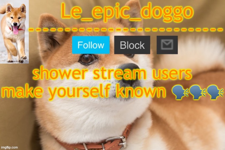 epic doggo's temp back in old fashion | shower stream users make yourself known 🗣️🗣️🗣️ | image tagged in epic doggo's temp back in old fashion | made w/ Imgflip meme maker