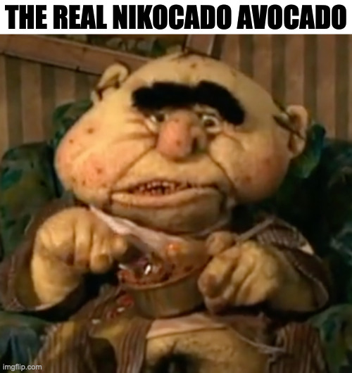 THE REAL NIKOCADO AVOCADO | image tagged in nikocado avocado,memes,meme,funny,fun,youtuber | made w/ Imgflip meme maker