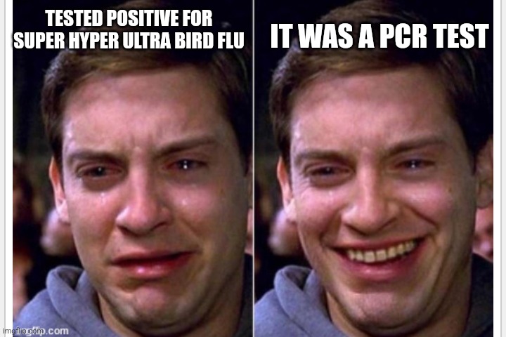 Crying | TESTED POSITIVE FOR SUPER HYPER ULTRA BIRD FLU; IT WAS A PCR TEST | image tagged in crying,politics | made w/ Imgflip meme maker