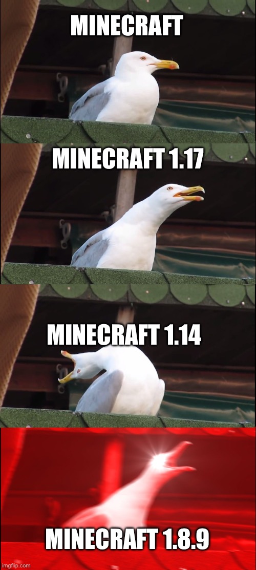 Inhaling Seagull Meme | MINECRAFT; MINECRAFT 1.17; MINECRAFT 1.14; MINECRAFT 1.8.9 | image tagged in memes,inhaling seagull,minecraft,funny,minecraft versions | made w/ Imgflip meme maker