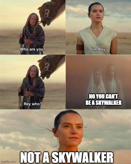 She will never be a Skywalker to me | NO YOU CAN'T BE A SKYWALKER; NOT A SKYWALKER | image tagged in star wars,rey palpatine not skywalker | made w/ Imgflip meme maker