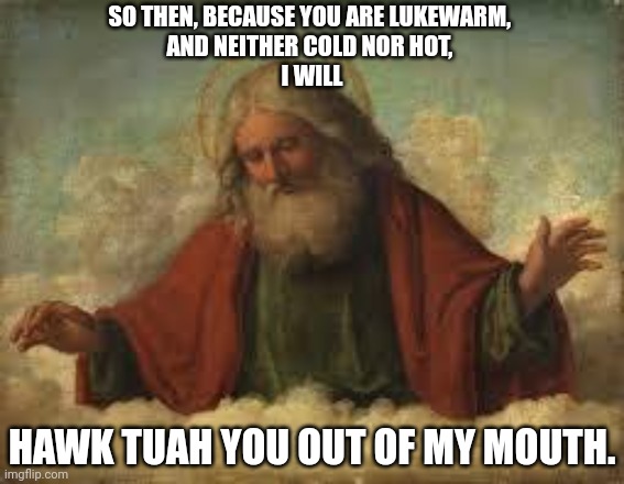 From the Book of Memes | SO THEN, BECAUSE YOU ARE LUKEWARM, 
AND NEITHER COLD NOR HOT, 
I WILL; HAWK TUAH YOU OUT OF MY MOUTH. | image tagged in god | made w/ Imgflip meme maker