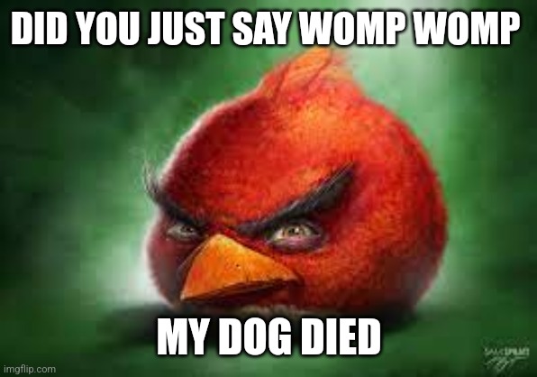 Truth | DID YOU JUST SAY WOMP WOMP; MY DOG DIED | made w/ Imgflip meme maker