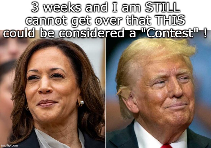 Keep expecting to 'Wake Up" | 3 weeks and I am STILL cannot get over that THIS could be considered a "Contest" ! | image tagged in trump harris meme | made w/ Imgflip meme maker