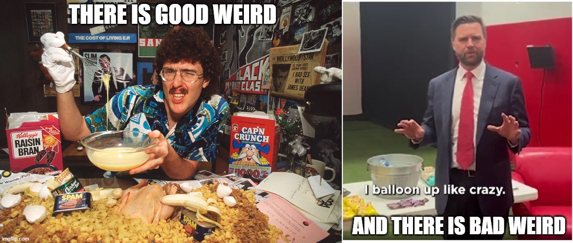 Good Weird bad Weird | THERE IS GOOD WEIRD; AND THERE IS BAD WEIRD | made w/ Imgflip meme maker